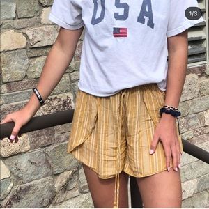 American Eagle Outfitters Shorts